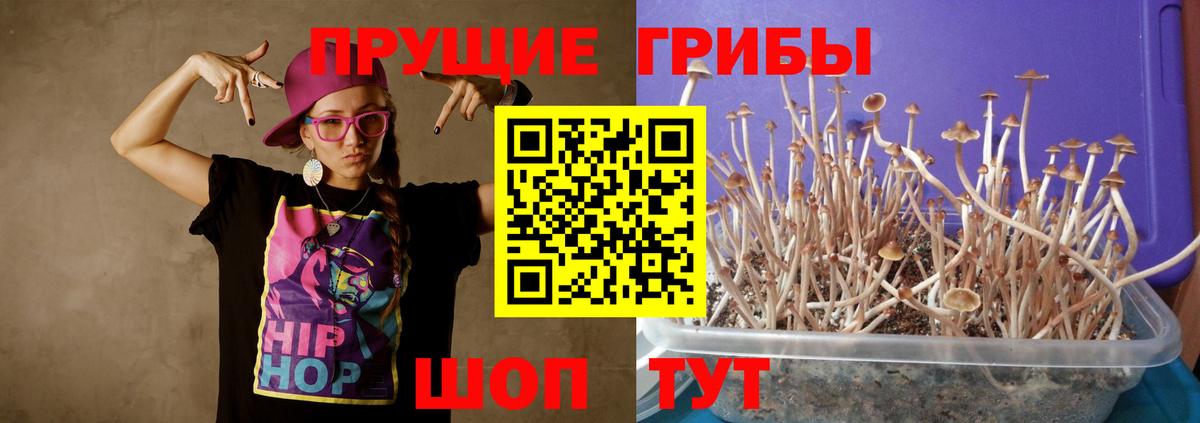 Псилоцибиновые грибы Magic Shrooms Кандалакша